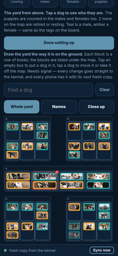 L'écran Chenil qui dessine une cour : des blocs de cases avec la photo de chaque chien